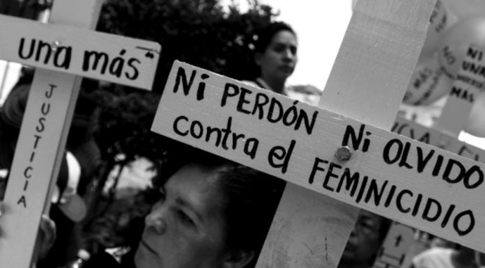 femicidios 2018 tasa 12