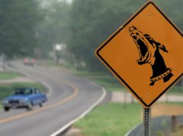 El Perro familiar | Entre el mito y el Terrorismo de Estado El Perro familiar | Entre el mito y la desaparición de personas en la última dictadura