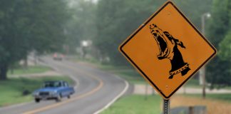 El Perro familiar | Entre el mito y la desaparición de personas en la última dictadura