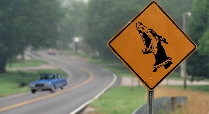 El Perro familiar | Entre el mito y el Terrorismo de Estado El Perro familiar | Entre el mito y la desaparición de personas en la última dictadura