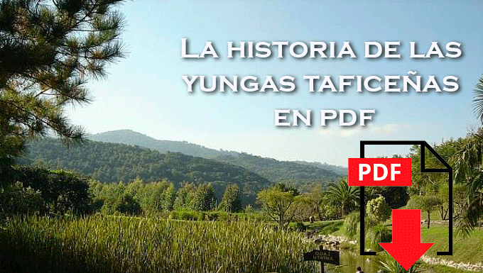 Tafí viejo |La historia de las yungas taficeñas en pdf