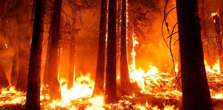 Incendio en San Javier | Imprudencia, desidia y condiciones ambientales