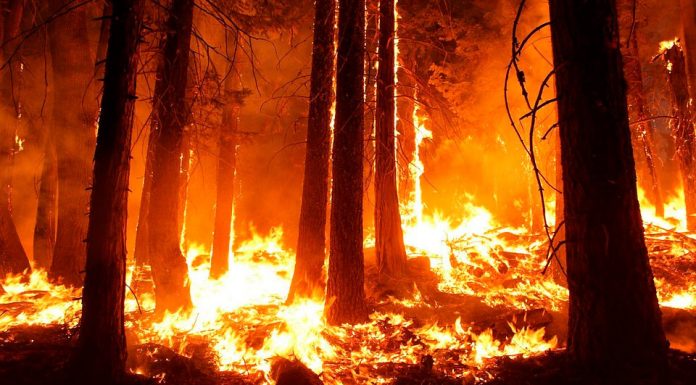 Incendio en San Javier | Imprudencia, desidia y condiciones ambientales