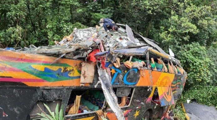 Tragedia en Brasil | 19 muertos tras el vuelco de un colectivo en Paraná