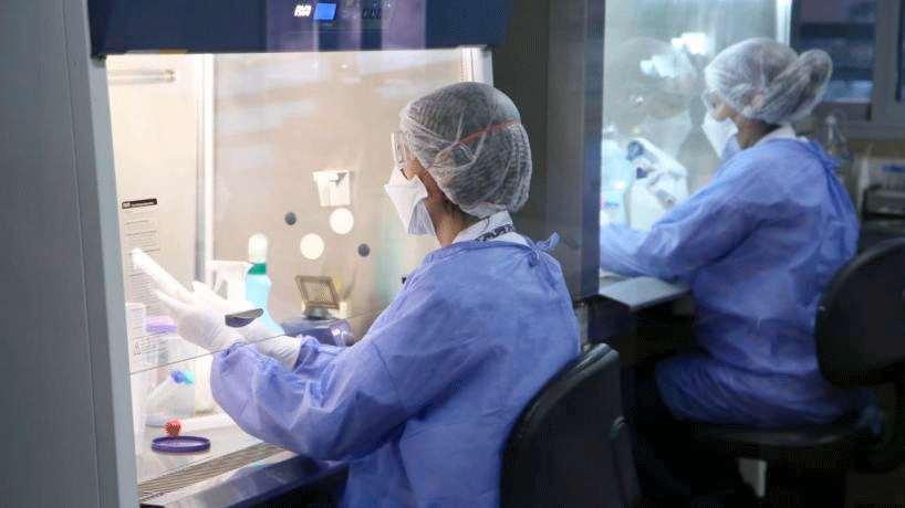 Covid-19 | Un tratamiento con Ivermectina e Iota-Carragenina genera repuesta antiviral