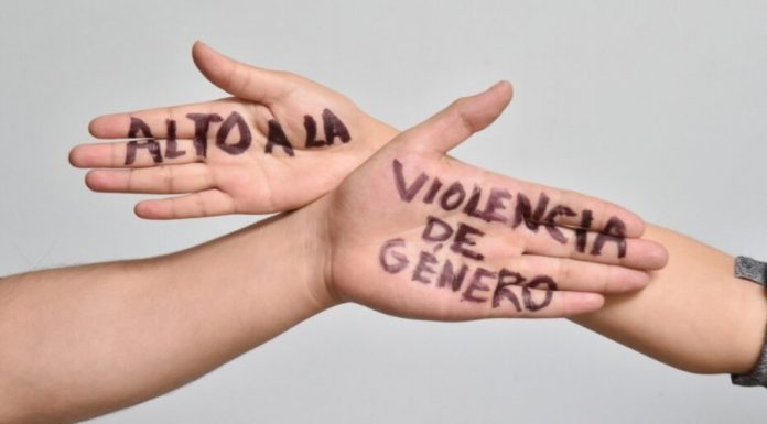 Conferencias sobre Abordaje y tratamiento de la violencia ejercida por varones