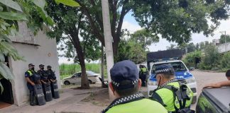 García Fernández | Encuentran una enorme planta de marihuana en el barrio 24 Viviendas