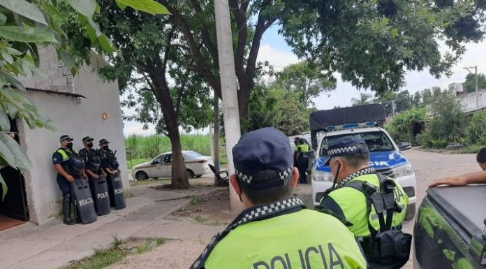 García Fernández | Encuentran una enorme planta de marihuana en el barrio 24 Viviendas García Fernández | Encuentran una enorme planta de marihuana en el barrio 24 Viviendas