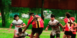 Punto bonus para la M16 de Cardenales