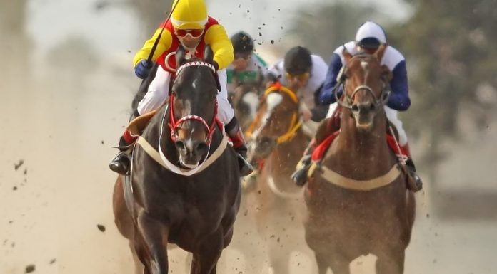Turf | "Galgo Luca" ganó bajo la tormenta