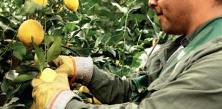 UATRE | Reclaman mejoras salariales al Gobierno