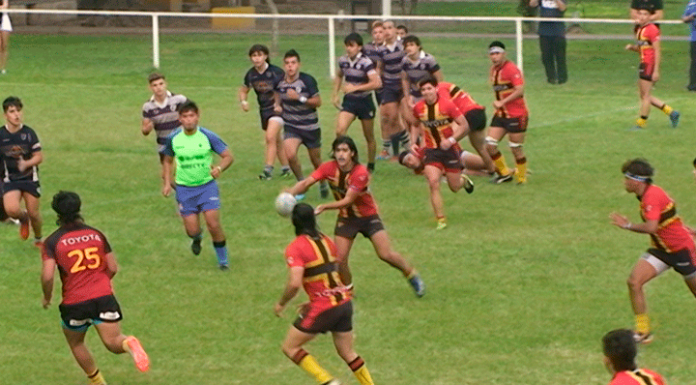 Rugby M19 | Contundente victoria de Cardenales ante Universitario