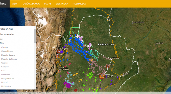 Visor del Gran Chaco | La experiencia de la naturaleza desde una herramienta online