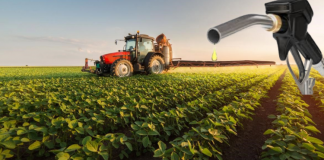 Biocombustibles en la Argentina | ¿Política ambiental o política a secas?