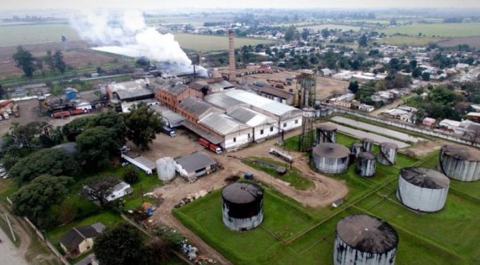 Zafra Azucarera | Los ingenios Marapa y Santa Rosa inician su molienda
