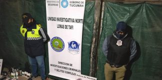 Villa Carmela | Hallaron un laboratorio con 25 plantas de marihuana