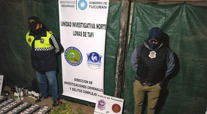 Villa Carmela | Hallaron un laboratorio con 25 plantas de marihuana