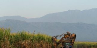 LOS HERMANOS SEAN UNIDOS...