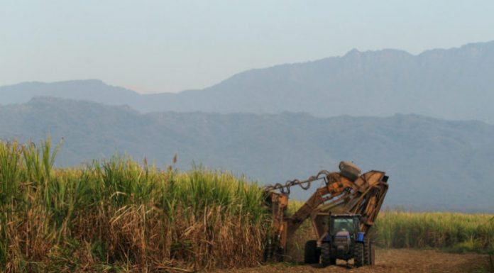 Los hermanos sean unidos… LOS HERMANOS SEAN UNIDOS...
