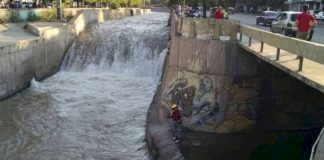 Se ahogó intentando rescatar a perro caído a un canal