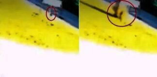 Yerba Buena | Revuelo por la caída de un objeto no identificado en un country