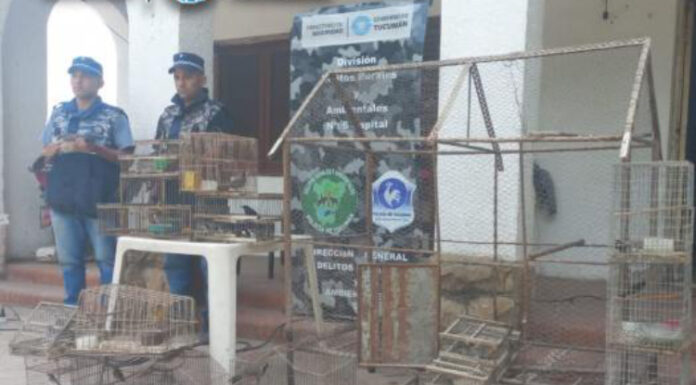 La Policía recuperó multiples aves que estaban en cautiverio